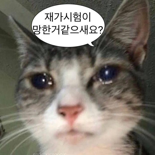 choeseolin11's tweet photo. 하..히히히히히히힣 https://t.co/PTXLRdJcFf