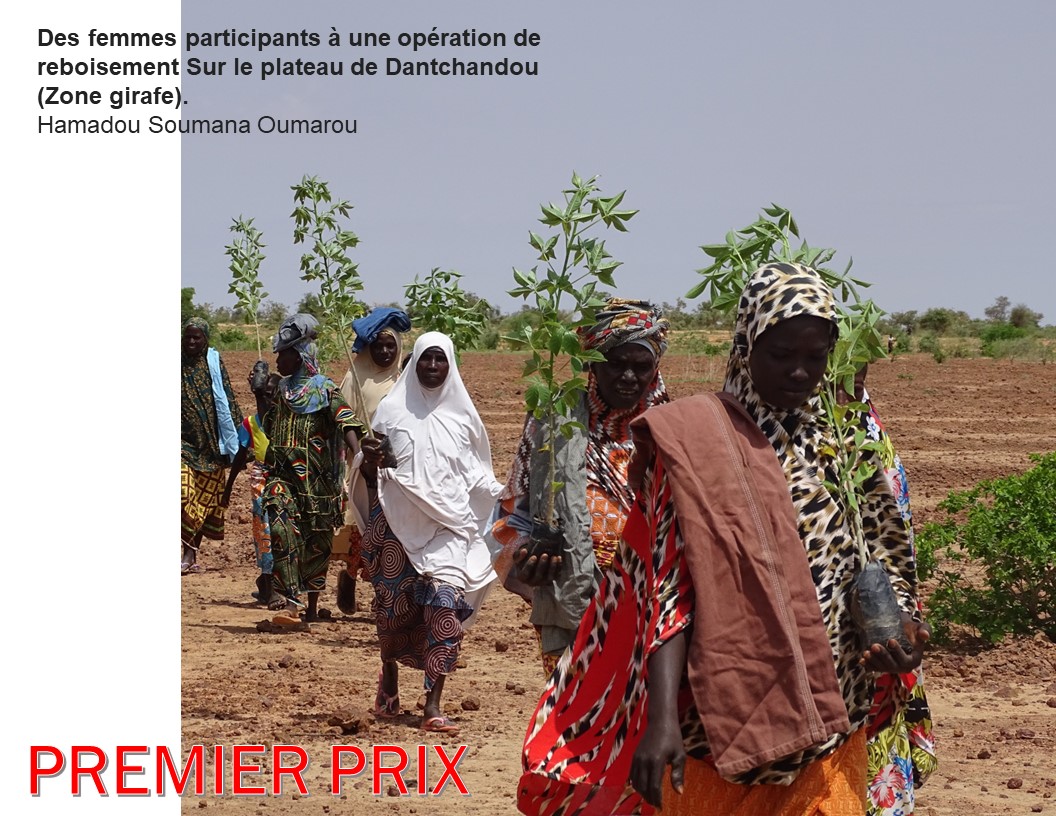 hamadousoumana1's tweet photo. Meilleur prix du concours photo du meilleur geste de protection de l'environnement au Niger organisé par @NigerJve et le Réseau de la Jeunesse Nigérienne sur le Changement Climatique dans le cadre de la #EarthDay2022 .
#EarthDay #EarthDay22 #Niger https://t.co/EODrA6kg4w