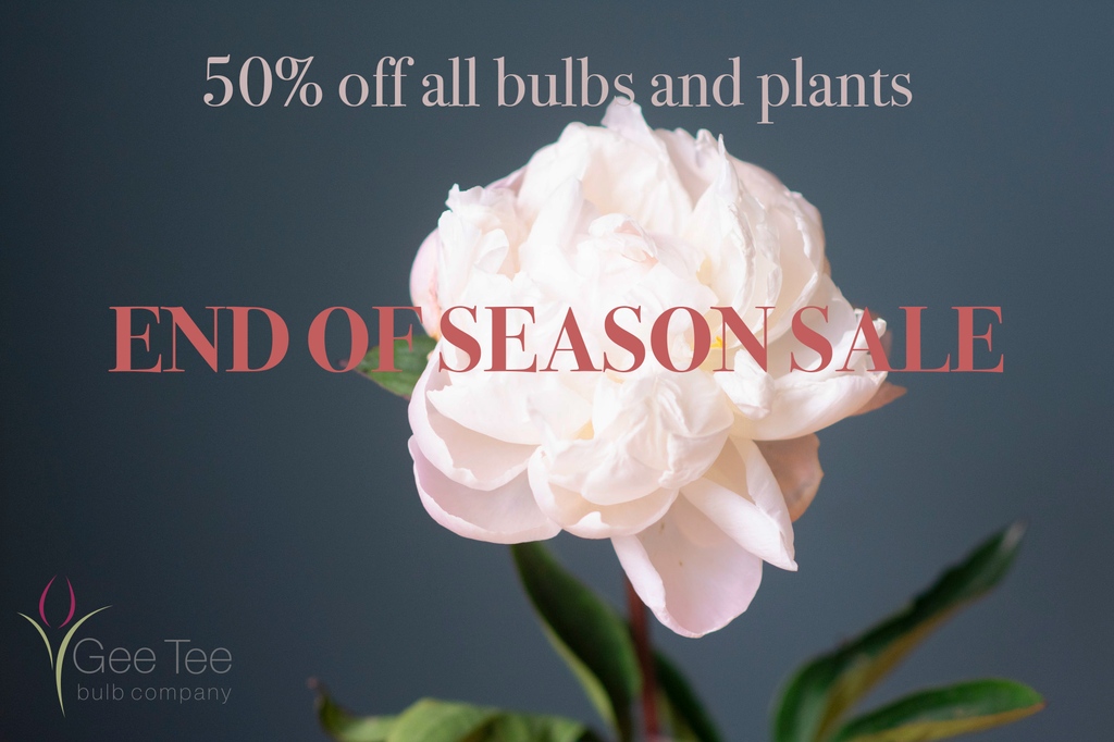 Our End of Season sale is here! 

See our website for 50% off ALL bulbs and plants

We still have a great range of summer-blooming varieties to keep your garden bright and colourful for the upcoming months.