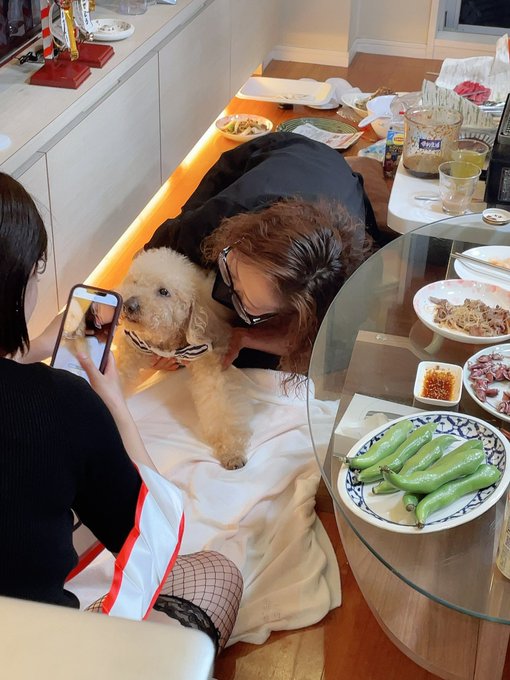 チャチャがいい子すぎてよかった🥰 凄い可愛がってくれてます💜 https://t.co/Ad60budSbp