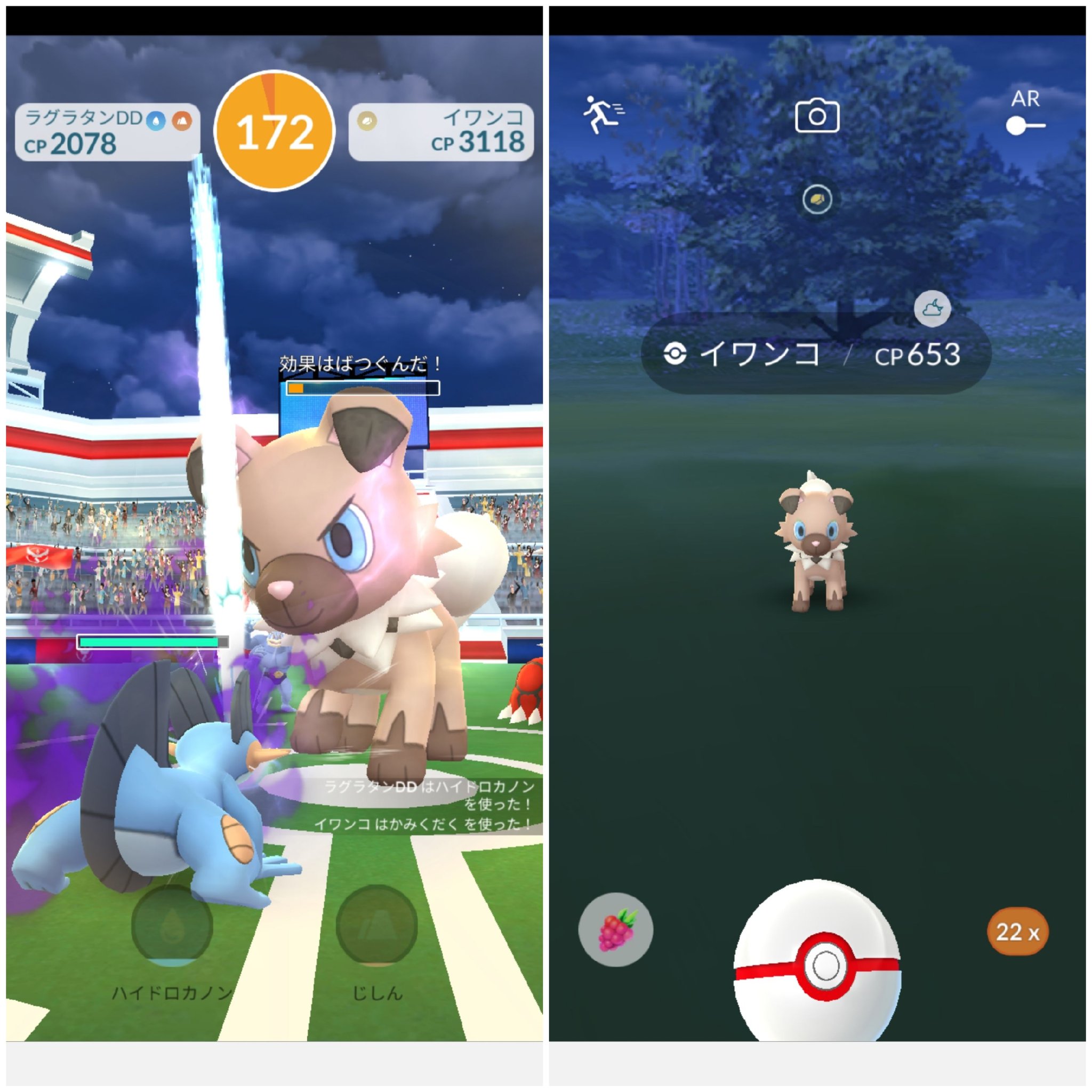 Amazinghisa 今日のポケモンgo活動 レイドはカプ ブルルとイワンコ 朝活でヒンバスとラッキー 明日はヌイコグマコミュニティ いっぱい飴と良個体を確保するぞ ﾉ ポケモンgo カプ ブルル イワンコ ヌイコグマ キテルグマ