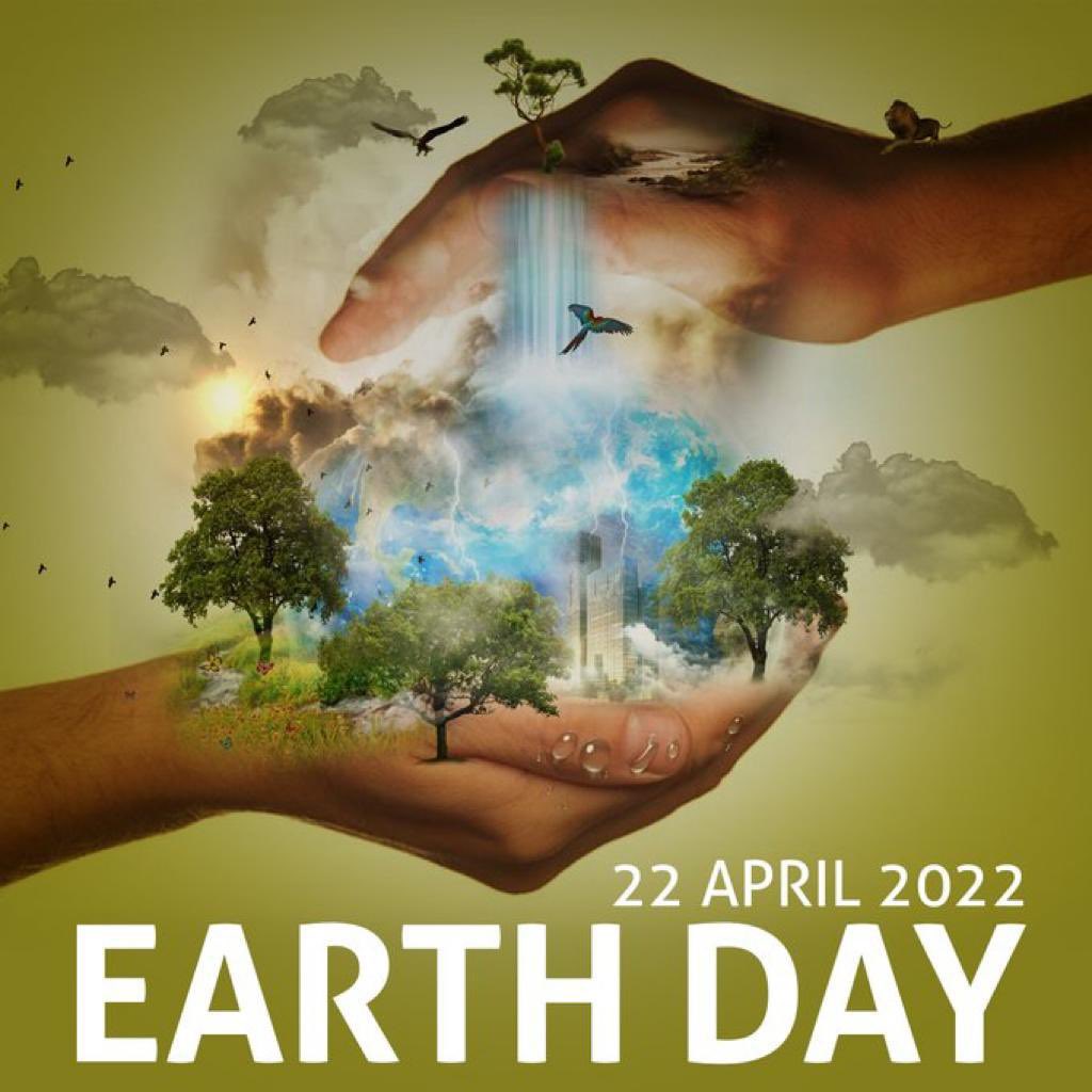 agrobootcamp's tweet photo. Comme le colibri #agrobootcamp joue un rôle indéniable à travers ses formations en Agro écologie dans le respect de l’environnement afin de protéger la planète.
Agissons pour la #terre 
Restaurons notre #planète
#Earthday
#JourneeDeLaTerre
#ActionClimat 
#TransitionEcologique https://t.co/jdZlr8UbPC