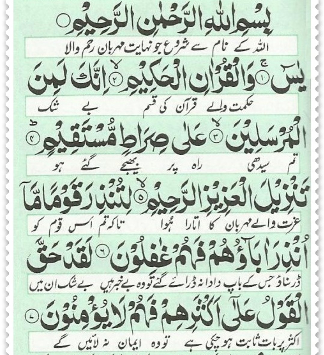 کچاراضی tweet media