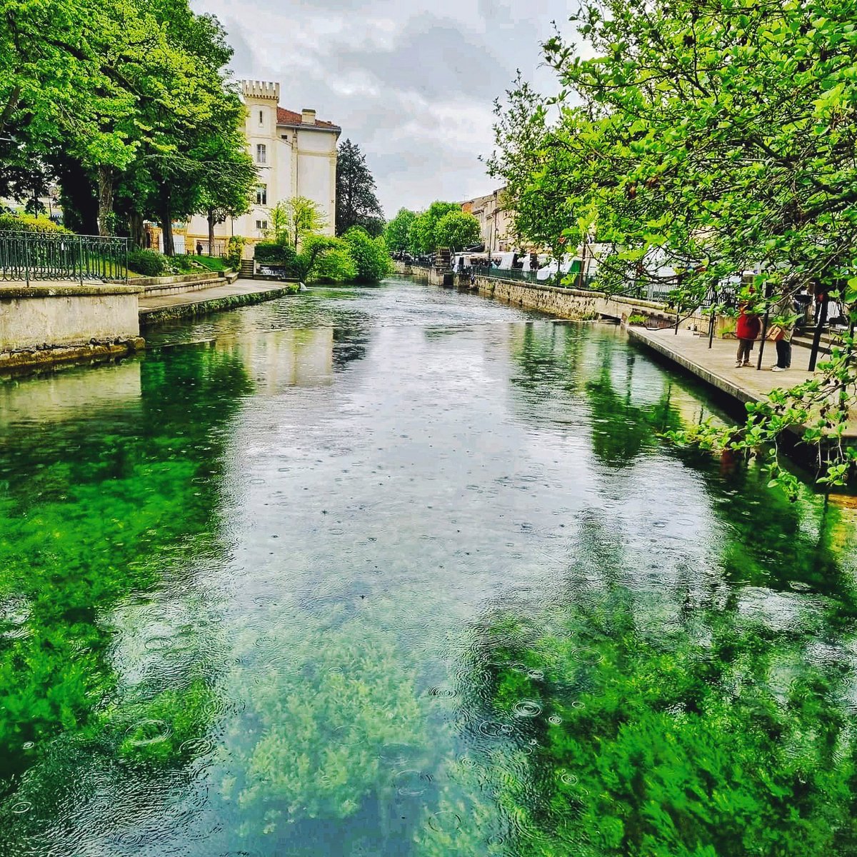 csleclub's tweet photo. ▶️ Visite de L'Isle sur la Sorgue : La Venise Comtadine du Vaucluse.

📸 Merci à Colette et Elena pour les photos.
#provence #sorgue #visite #sud #photo #pict #pictoftheday #rt #landscape #photography #rain #pluie #France https://t.co/dsNwhnGWqx
