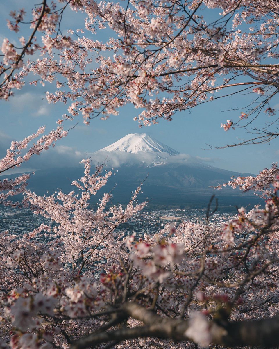 masapedia's tweet image. ミシュラングリーンガイドの表紙を飾ったこともある日本を代表する絶景がこちら。