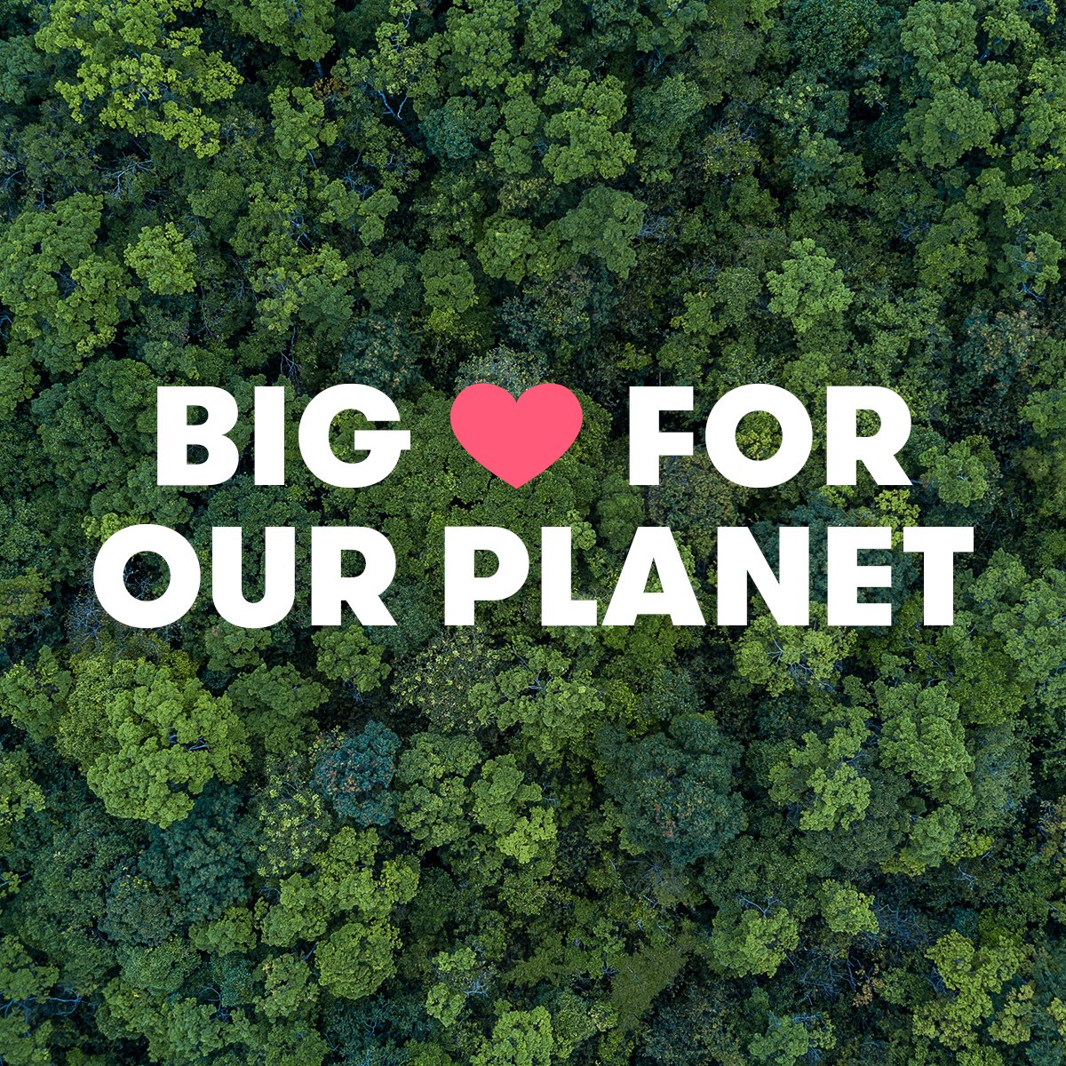 We are working to achieve a target of net zero greenhouse gas emissions by 2030 for our own operations.* Find out more: homesense.ie/content/enviro…
*Scope1&amp;2