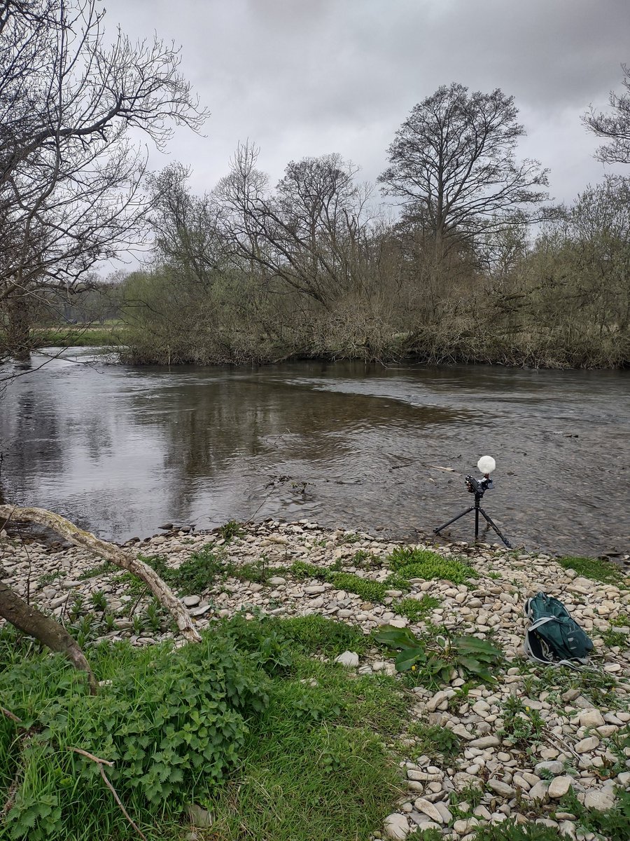 Out recoding today, then plan is to mix video with ambisonics and compose over the top.

#fieldrecording #soundesign #mytascam #catharticaudio