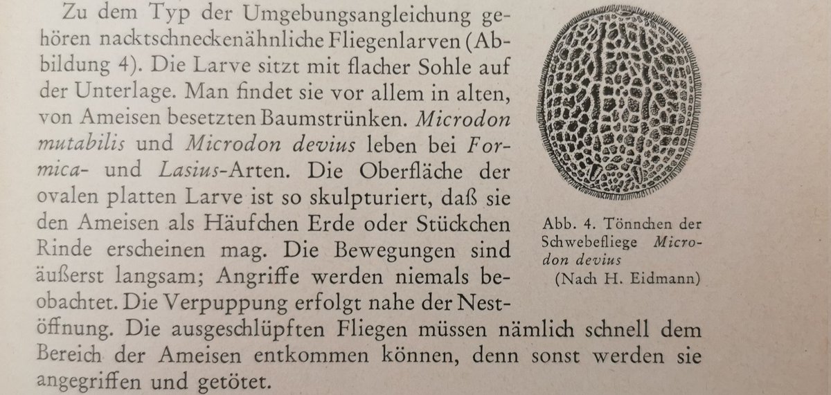 Tobias Erik Reiners tweet media