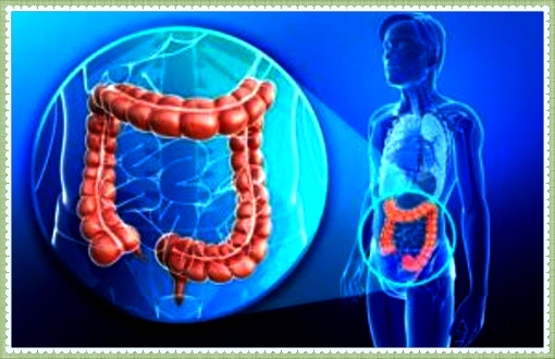 malatinvisibili's tweet photo. CROHN – PER LE FISTOLE, GUARIGIONE A LUNGO TERMINE GRAZIE A TERAPIA ANTI-TNF E A CHIUSURA CHIRURGICA.
https://t.co/rqXGMij510
#crohn #fistoleanali #comitatoimalatiinvisibili #imalatiinvisibili #orfanididiagnosi #comitatoimi #comitatoimionus https://t.co/kAMT9RRsRy