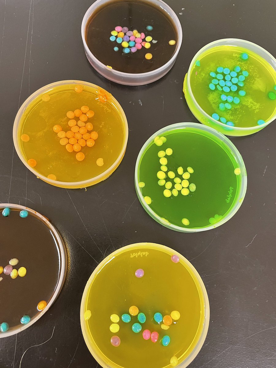 NHSDNADay's tweet photo. Amazing student projects this year! #nhsdnaday https://t.co/JKsWL9x7nR