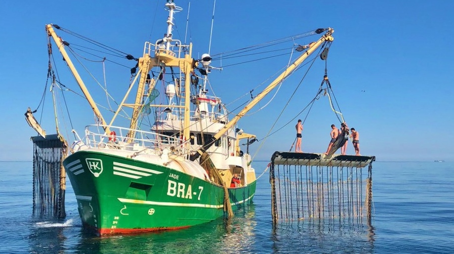 Brandstofzuinige pulsvisserij onterecht verbannen.
#Horrorverhalen definitief de prullenbak in. "Wij vinden geen substantiële negatieve effecten op zeedieren", zegt onderzoeker Boute die zijn #proefschrift maandag verdedigt. Lees verder in <a href="/visserijnieuws/">visserijnieuws</a>: visserijnieuws.nl/nieuws/algemee…