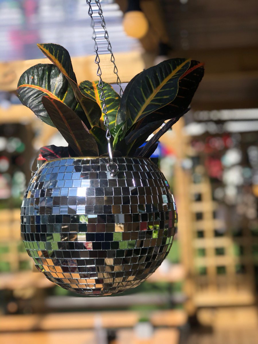 Stutter & Twitch tweet media