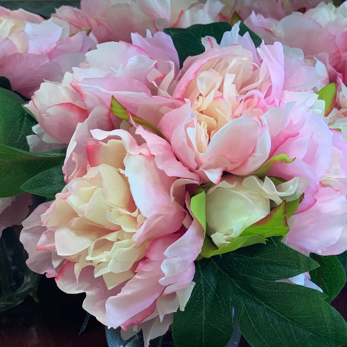 MoblesCambrils's tweet photo. ROSES i molt més!
🪴➕💐➕🌹 ARTIFICIAL
ON?
📍Al carrer de les drassanes 16, al barri del port de Cambrils
#santjordi2022 #santjordi #roses #florartificial #plantaartificial #moblescambrils #cambrils #tarragona #xarxadelport #cambrilscomerç #cambrilscultura #cambrilsfestes https://t.co/PQwT2qUkq6