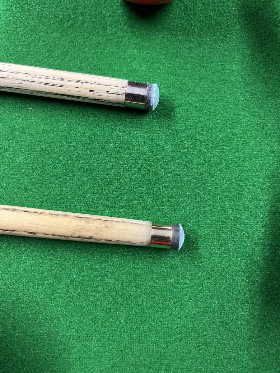 Bison Brody tweet media