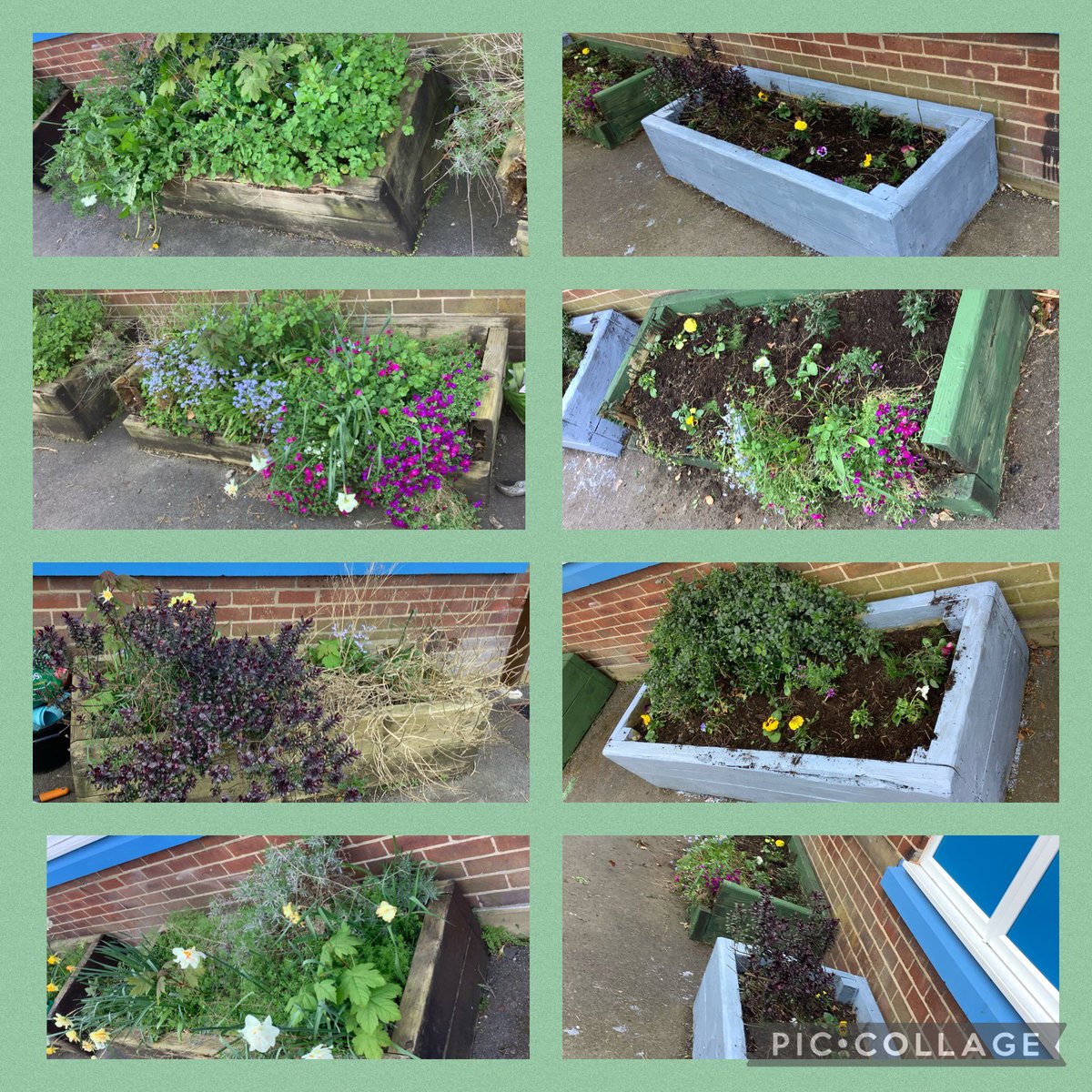 Whitefield Primary - Year 5 tweet media