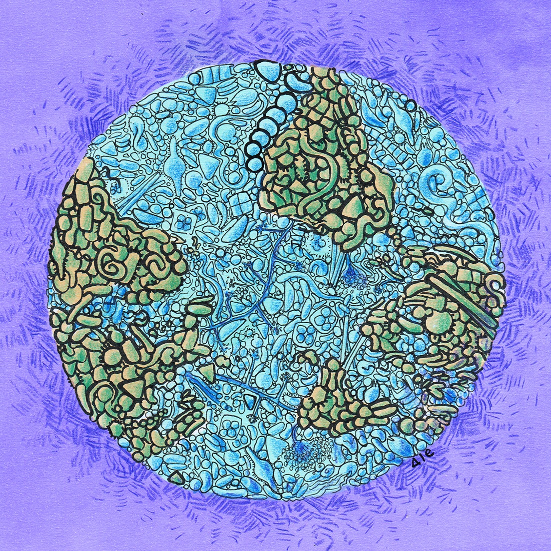 Hoy es el #DiaDeLaTierra 🌎 Vivimos en un planeta microbiano 🦠💜 somos parte de la naturaleza, somos ecosistemas, protejamos la vida, el agua y la biodiversidad #EarthDay 

Ilustración <a href="/microbiale/">Ale Garin-Fernandez, PhD</a>