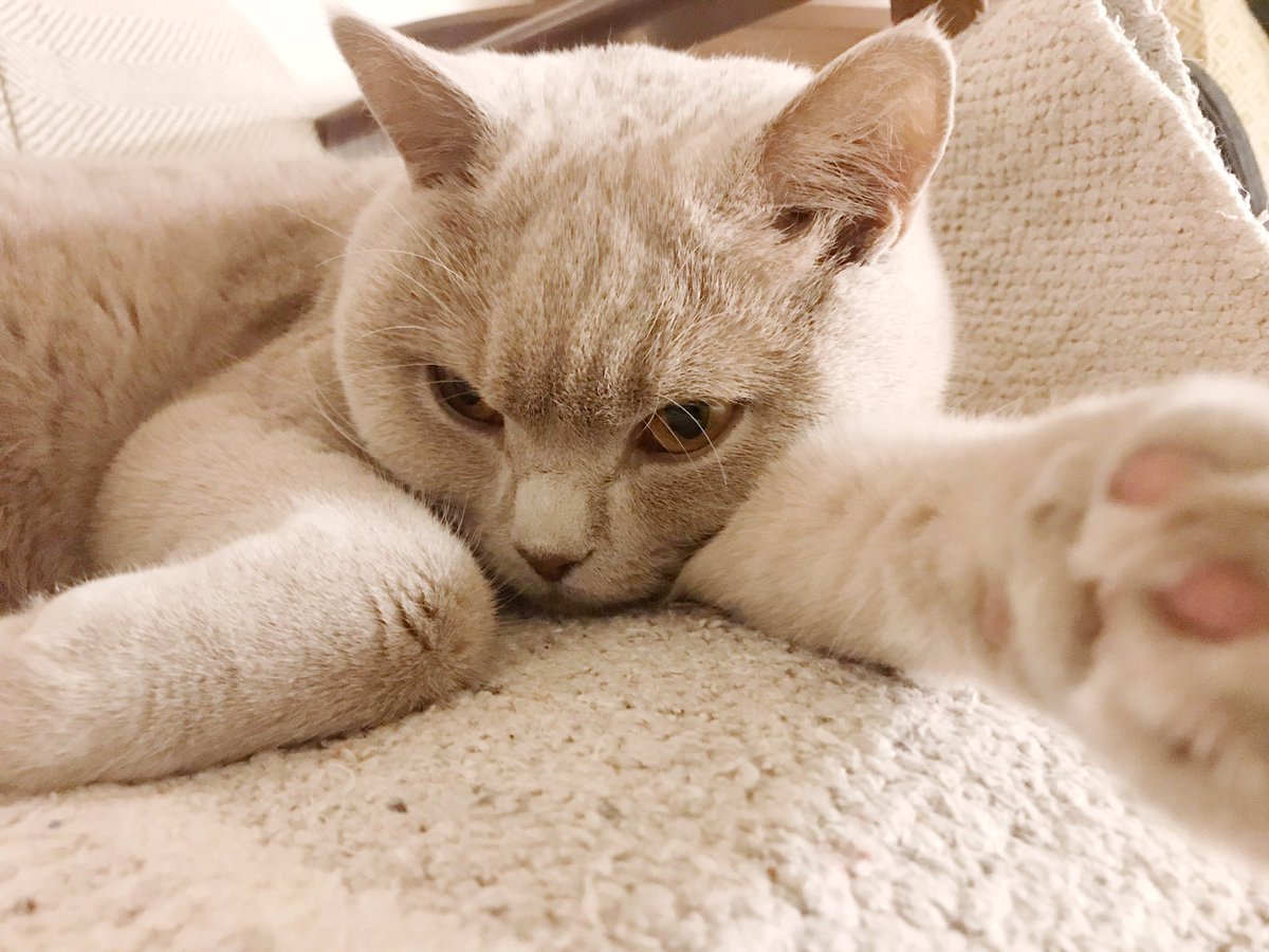 Eva Dage_ tweet media