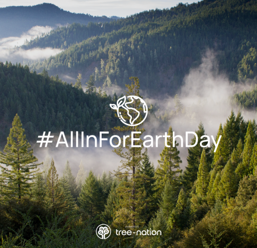 TrelleborgGroup's tweet photo. We would like to celebrate #EarthDay by highlighting our partnership with Tree Nation who want to plant 2,000,000 trees for World Earth Day celebrated today! #AllInForEarthDay 🌳🌳🌳🌳 Check out one of sub-forests https://t.co/8Jo2uhcJZa
#ProtectingTheEssential #MakingaDifference https://t.co/IJVzA6QgRo