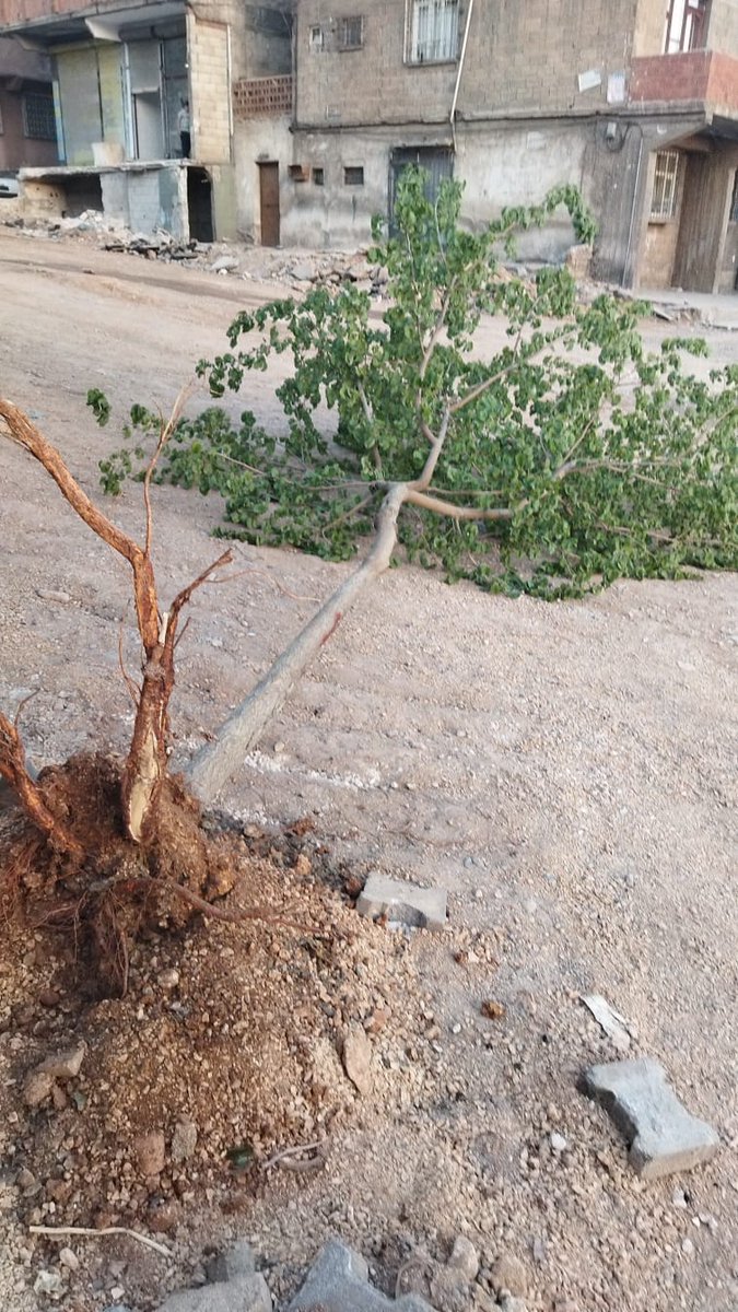 #Ağaçları kesmeden 
#Ağaçkatliamı yapmadan da YOL KÖPRÜ vs yapılabilir üstelik konut sahibinin haberi olmadan yapılıyor çalışmalarınız Sayın <a href="/GaziantepBeld/">Gaziantep Büyükşehir</a> <a href="/SehitkamilBel/">Şehitkamil Belediyesi🇹🇷</a> 
#doğayıkoru #agacıkesme #AğaçNakli #temavakfı <a href="/gelecegenefesol/">Geleceğe Nefes Ol</a>
<a href="/haluklevent/">Haluk Levent ( Ahbap Ekibi )</a> <a href="/gokhanozoguz/">Gökhan Özoğuz</a> <a href="/AtillaTasNet/">Atilla Taş</a>