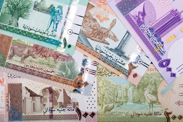 ZoolPay's tweet photo. التضخم هو أحد أكبر أعداء تكوين الثروة. يهجم بصمت ولكن باستمرار القيمة الفعلية للأموال.

Inflation is one of the biggest enemies to wealth creation. It silently but consistently erodes the value of money https://t.co/sr9Iv4P1g3