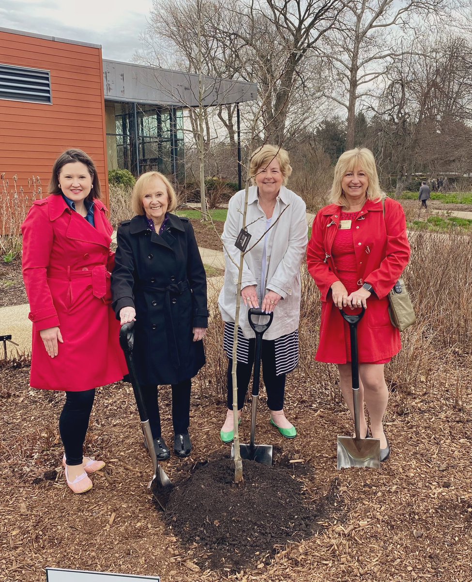 GustinCouncil's tweet photo. The Morton Arboretum is celebrating 100 years of planting and protecting trees for a greener, healthier, and more beautiful world.
The Naperville Garden Club had donated thousands of dollars to the Arbor to assist in replacing the tree impacted by last years tornado.  Thank you https://t.co/618XWxW9Yz