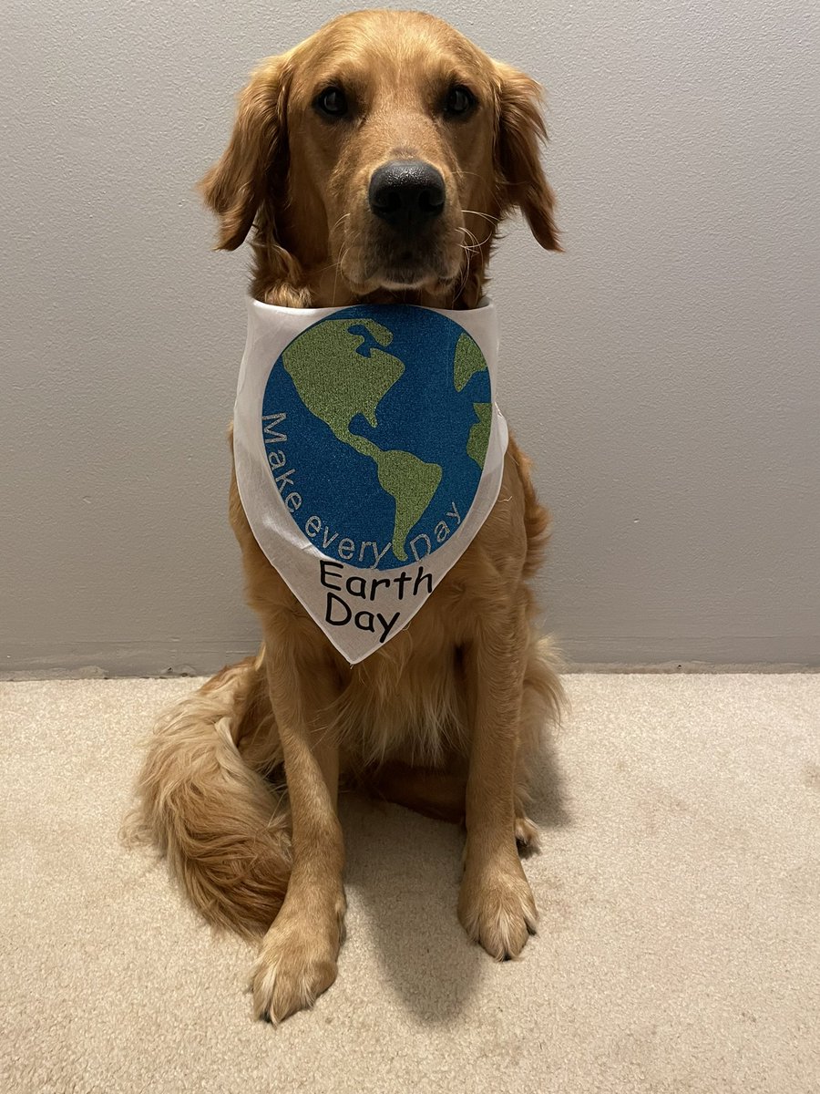 Day 22 (Earth) Happy Earth Day. “Love the earth as you would love yourself.”
— John Denver #MotherEarthDay #InternationalMotherEarthDay #EarthDay #DogsofTwitter #GoldenRetrievers #MakeEveryDayEarthDay #PhotoChallenge2022April