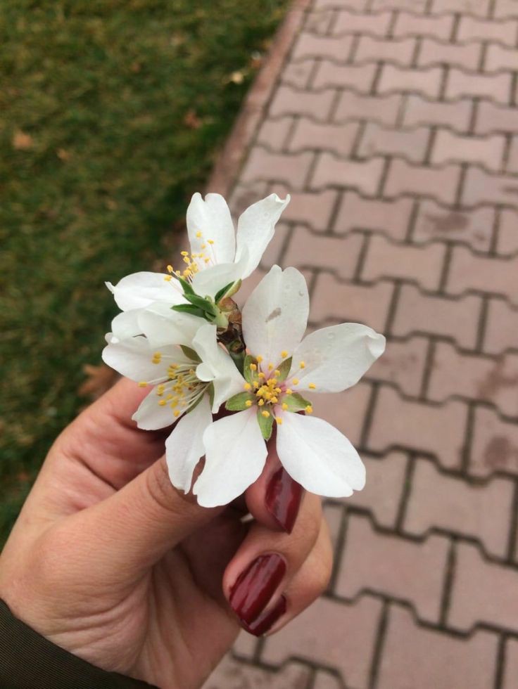İnsan;
Elinde çiçekle, 
Kalbinde ümitle,
Kursağında hevesle bekler hep.

𝓐𝔂..