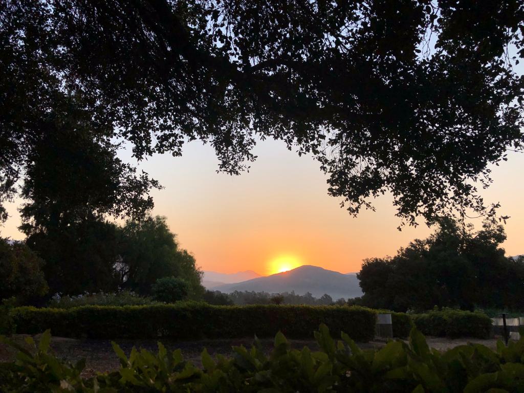 MJacksonBeverly's tweet photo. Happy #EarthDay 🌎🎉 I marvel at nature’s beauty every morning when I hike, and with every piece of fruit and delicious vegetable the soil gives me. Love our Mother Earth 💚💙
#SaveThePlanet #earthday2022 #zerowaste #Sustainable #Redue #Reuse #Recycle https://t.co/cHRDe8FZRO