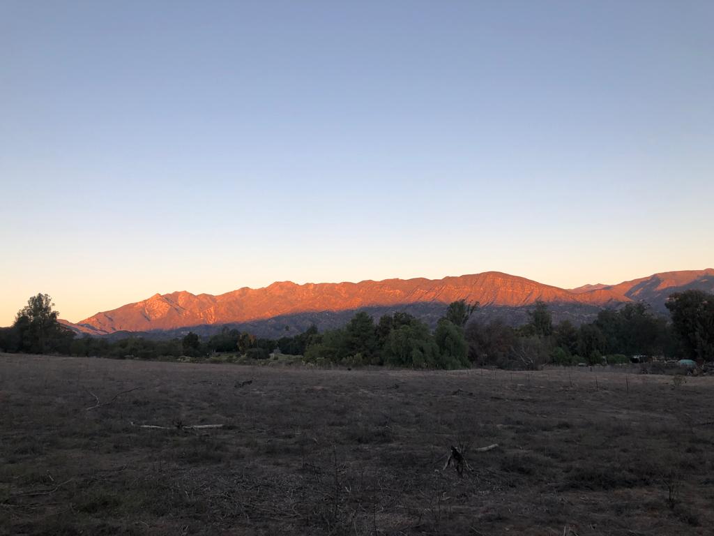 MJacksonBeverly's tweet photo. Happy #EarthDay 🌎🎉 I marvel at nature’s beauty every morning when I hike, and with every piece of fruit and delicious vegetable the soil gives me. Love our Mother Earth 💚💙
#SaveThePlanet #earthday2022 #zerowaste #Sustainable #Redue #Reuse #Recycle https://t.co/cHRDe8FZRO