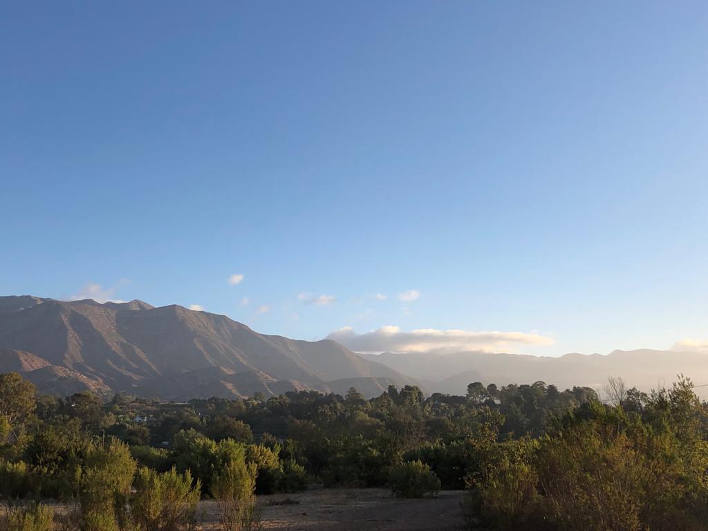 MJacksonBeverly's tweet photo. Happy #EarthDay 🌎🎉 I marvel at nature’s beauty every morning when I hike, and with every piece of fruit and delicious vegetable the soil gives me. Love our Mother Earth 💚💙
#SaveThePlanet #earthday2022 #zerowaste #Sustainable #Redue #Reuse #Recycle https://t.co/cHRDe8FZRO