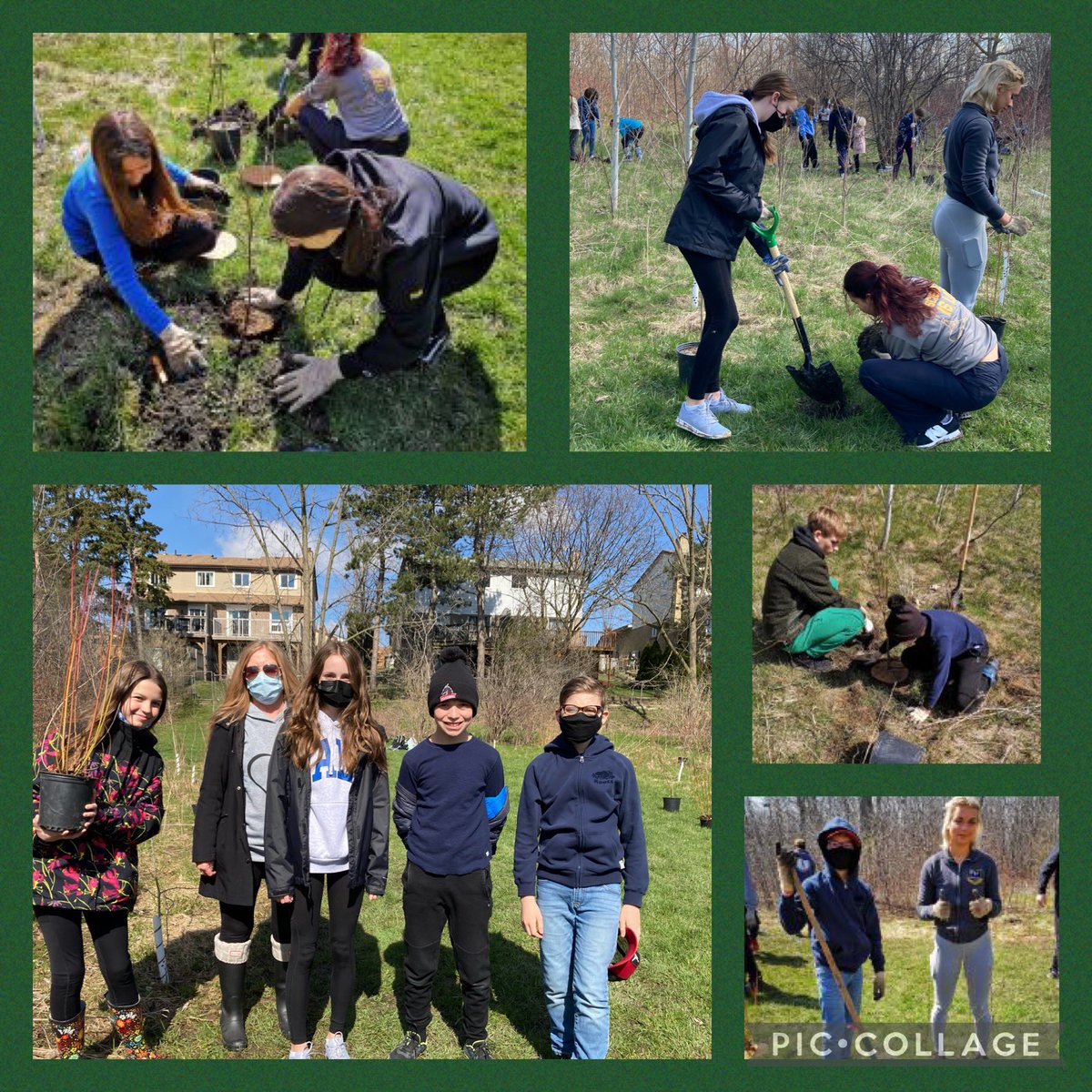 St_DavidofWales's tweet photo. Our Positive Minds Team participated in the #MillionTreesProject with @citymississauga today in honour of #EarthDay2022 We are so proud of you, dragons, and your commitment to making the Earth a greener place for future generations to enjoy! https://t.co/BeAVjQkVNd