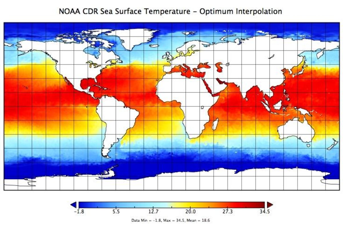 silverman_ariel's tweet photo. 2/4 Estudian 54 pingüinos en la Isla de Goicoechea por 2 temporadas primaveras: 2010 tuvo más clorofila a y TSM que 2009. Comparan los patrones de forrajeo con rastreadores, y la tasa de crecimiento y la dieta de juveniles usando modelos de isótopos estables #CCARE2 #Dehnard2016 https://t.co/BnjEuMCa6n