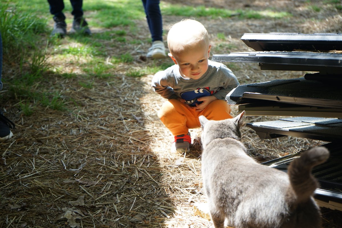 DurhamCountyLib's tweet photo. Happy #EarthDay! Our younger patrons had some fun outside @DPSHubFarm for a #LibraryFest Storytime program. Running around in the sun & listening to wonderful stories. #EarthDayEveryDay
"Where the green grass grows all around & around, & the green grass grows all around!"🌱🌿 https://t.co/n5KgIQsWMo