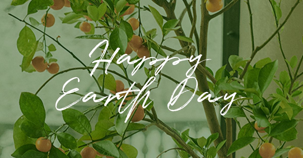 Happy Earth Day! 🌎Today and everyday we aim to reduce our impact on the environment and use our platform to encourage others to do the same