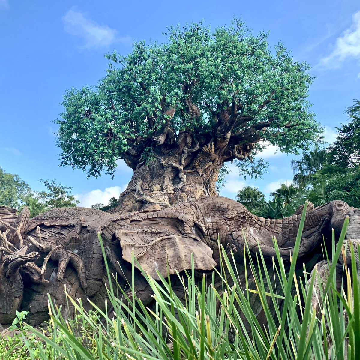 DesignsMNST's tweet image. Happy Earth Day, and Happy 24th Anniversary to the most beautifully authentic theme park in the world, Disney’s Animal Kingdom! #EarthDay2022 #AnimalKingdom #disneyworld #TreeOfLife