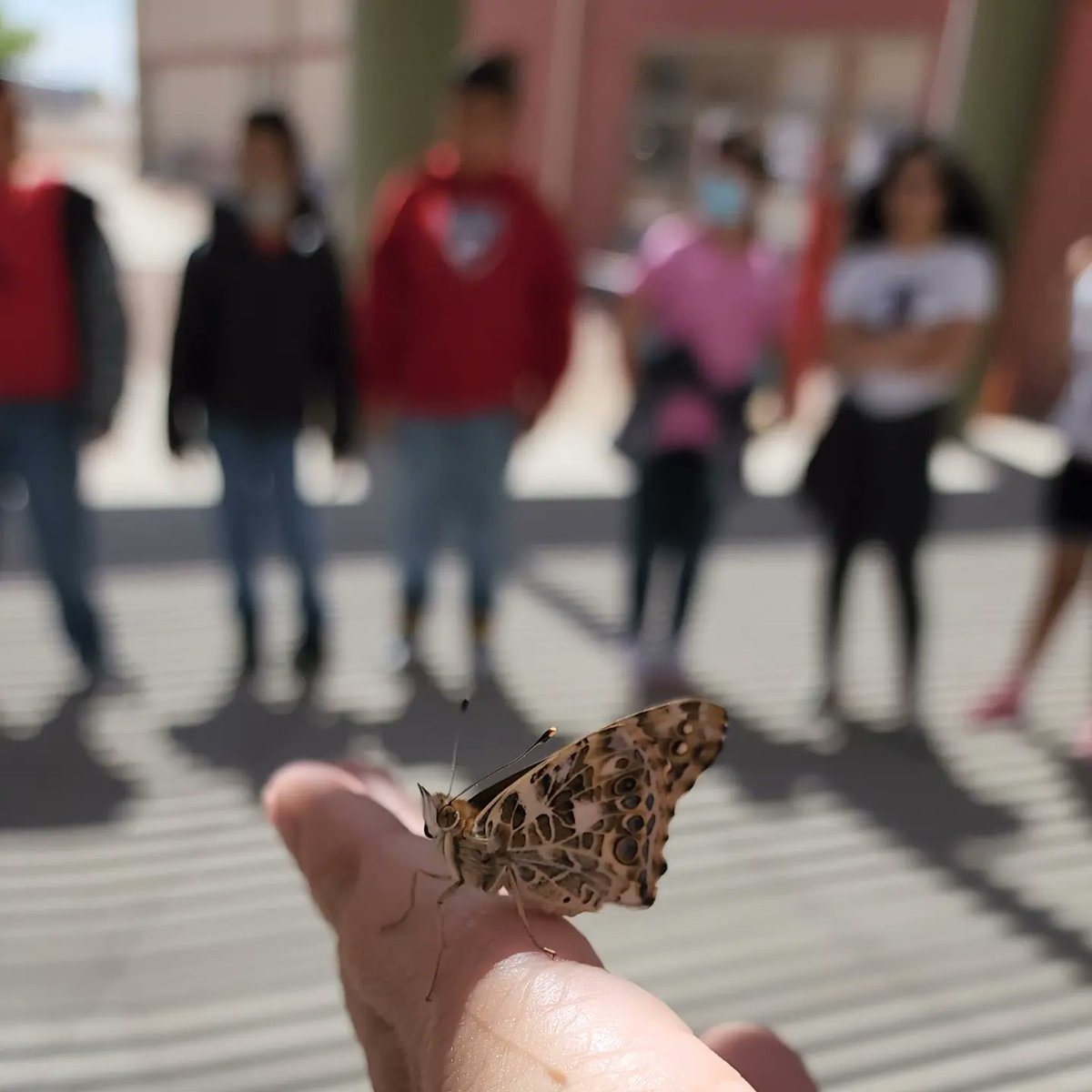Acaden02's tweet photo. For Earth day, we picked up trash from in front of our beautiful @LVerde_ES &amp; released our butterflies. 🚮🦋 @lcarba_LVES #PAS_Class https://t.co/wh3d58r53d