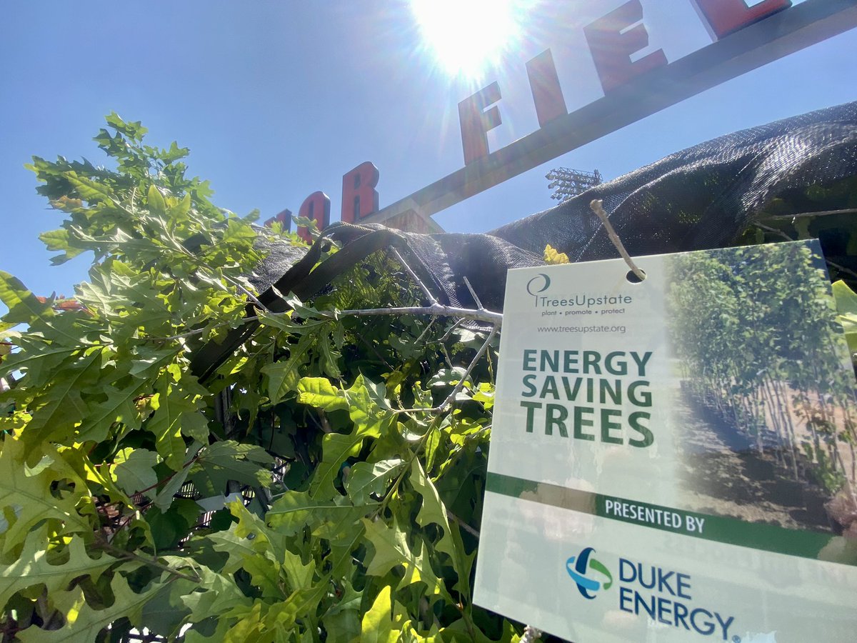 DE_RyanMosier's tweet image. Still need date-night plans for #EarthDay? Here’s an idea: Treat your special someone to beers, brats, #baseball &amp;amp; fireworks tonight @GreenvilleDrive AND bring home an #energy saving #tree! Doesn’t get more romantic &amp;amp; conservation-minded than that!

INFO: treesupstate.org