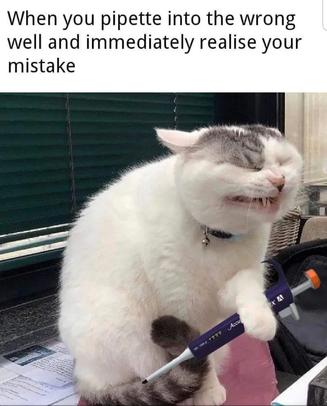 DNA_RNA_Uni's tweet photo. Exactly that face, every time... https://t.co/zVWyHRSR1r