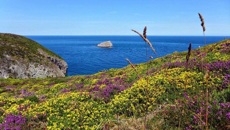C'est toujours l'été chez nous ! 😊😎☀️ #CôtesdArmor #MagnifiqueBretagne #MagnifiqueFrance