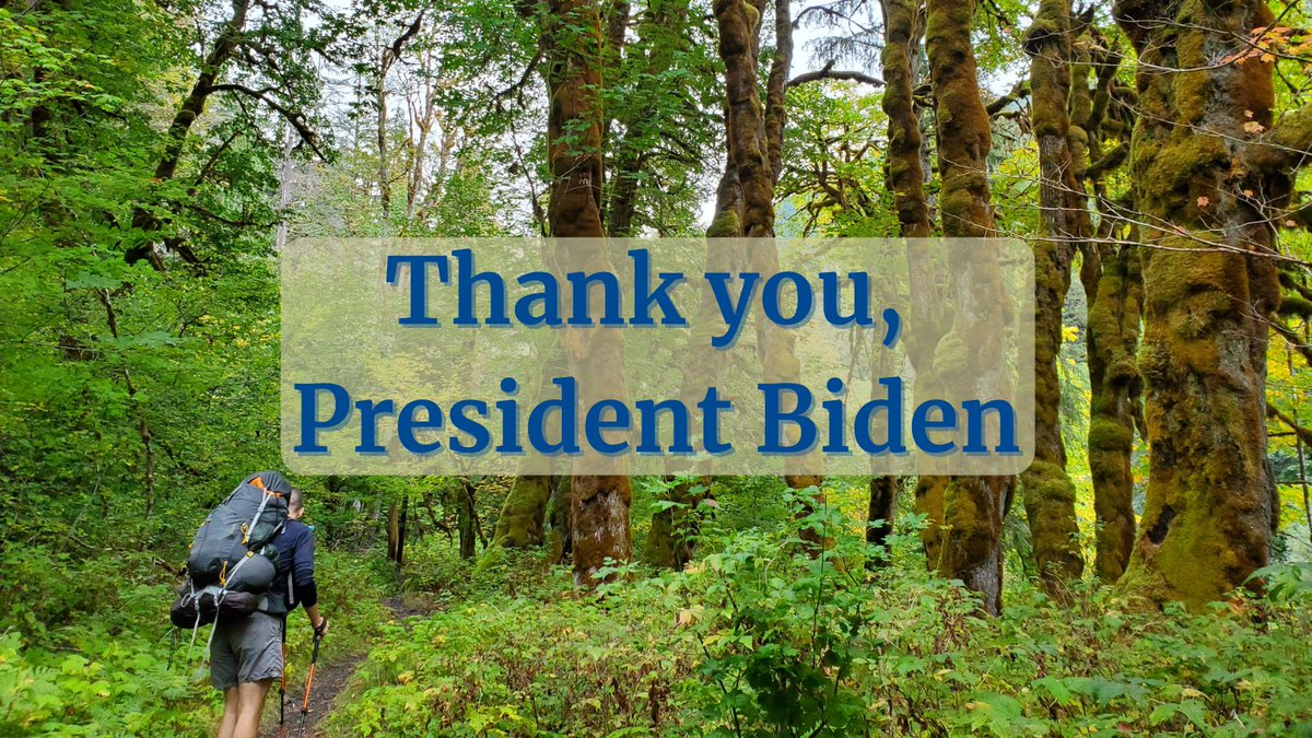 BelloMelanie's tweet photo. Thank you @POTUS for taking this 1st step to safeguard mature &amp; old-growth forests on federal lands! Our #ClimateForests must be a key pillar of US climate action. @forestservice @USDA @BLMNational #LetTreesGrow https://t.co/QCjvh9eVsi