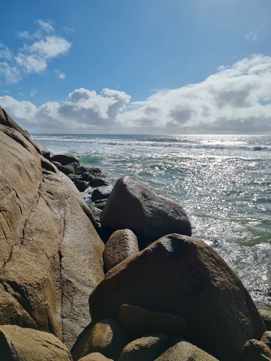 CoutinhoTheDev's tweet photo. A picture off my favorite place in the earth, to say that I am very happy to be part off the amazing #ReFi community and to be trying to change the World. Happy Earth Day for all 🌎🌳🌎🌳 https://t.co/Zi7yeVJGg3