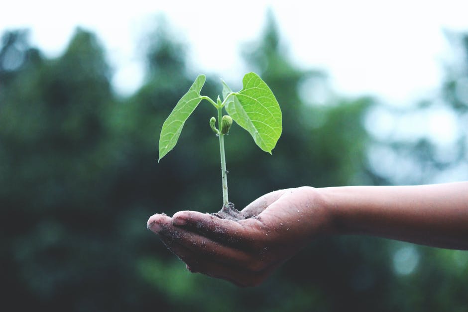 Happy Earth Day! We are so proud of all our hard working students who over the last two weeks have built 15 new #school gardens. What a great way to celebrate #EarthMonth and #EarthDay! @OttCatholicSB @GUOottawa @CanadianOrganic