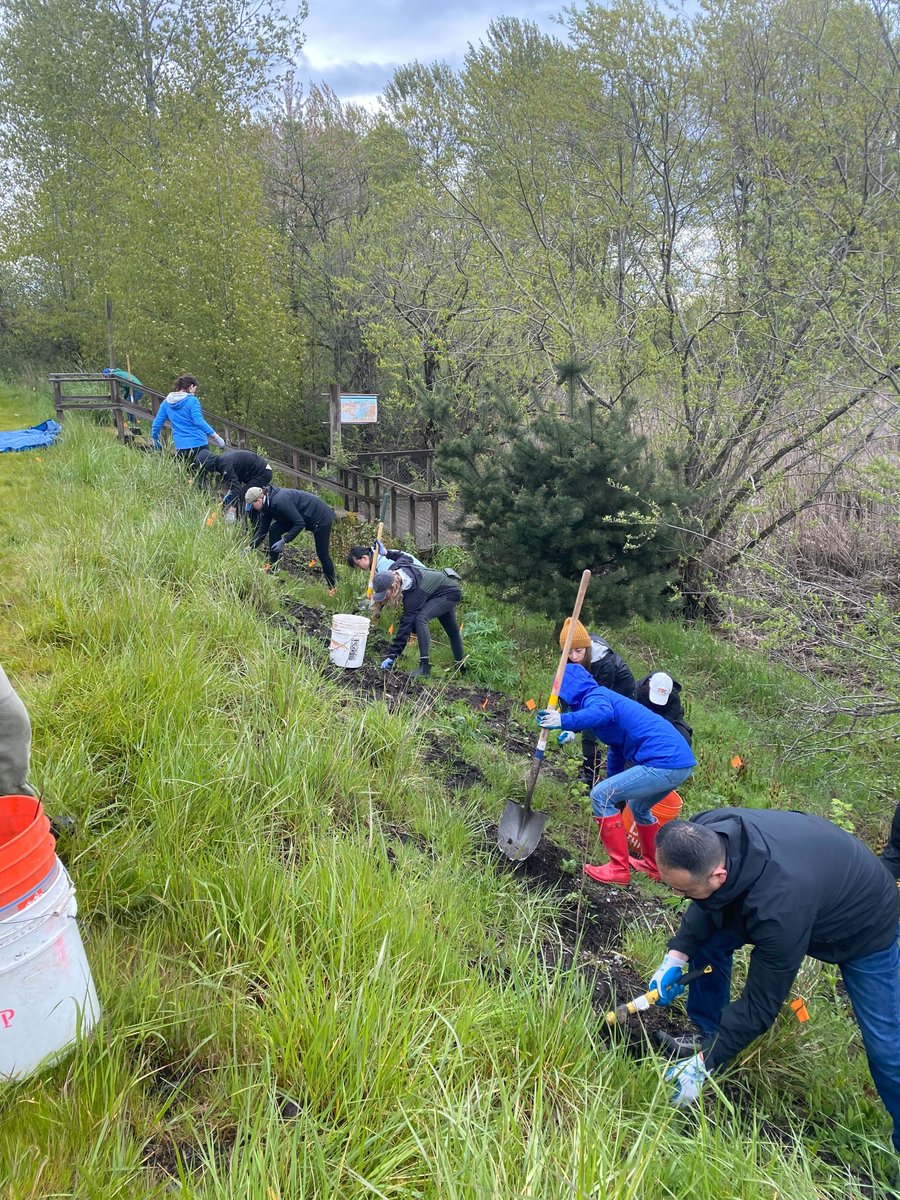 flexport's tweet photo. Shoutout to our Bellevue Flexporters for joining forces with the @PortofTacoma, @ForterraNW and a few team members from @OceanNetworkExp to clean up the Gog-le-hi-te Wetlands, a critical wetland habitat near the Port of Tacoma. π #EarthDay #InvestInOurPlanet #HowWeFlex https://t.co/OTkBC27o8f