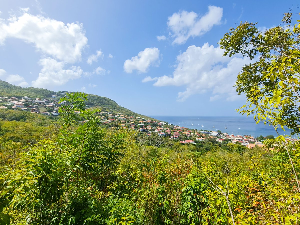 ClassImmos_M's tweet photo. Cette magnifique prise de vue depuis un de nos terrains en vente. De quoi passer un bon week-end 😎
📍 Anses d'Arlet

📸 : @FwiGreen 

#classimmos #realestate #martinique #martiniquetourisme
#martiniquefwi #discovermartinique #paradisebeach #westindies #landscape #ilovemyjob https://t.co/sxVGHojh2e