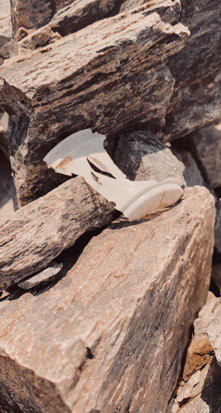WSHS_Science tweet picture