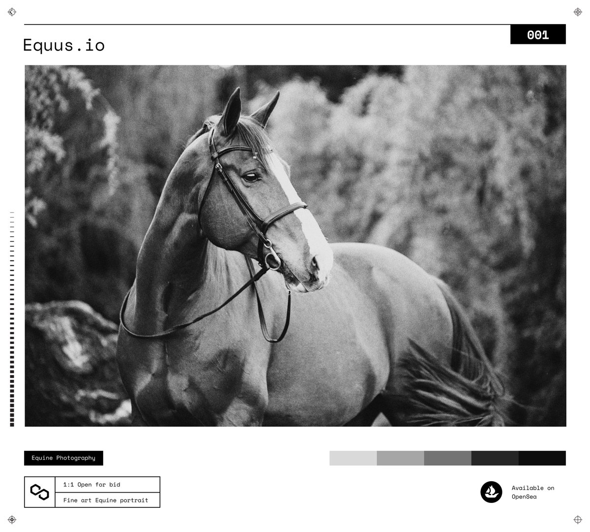 Equus_io's tweet photo. Just updated this beautiful collection! 😍

All artworks are available for bid, some new work added x 

https://t.co/QqHPIUiAnQ https://t.co/477kTLB5k5