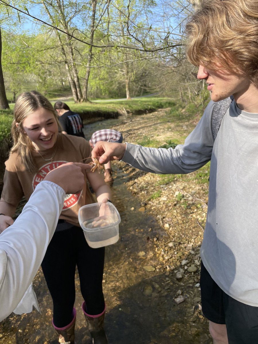 scipats's tweet photo. AP Environmental Science students sampling macroinvertebrates this morning in creeks in Allen County. https://t.co/sfKOPOk68K