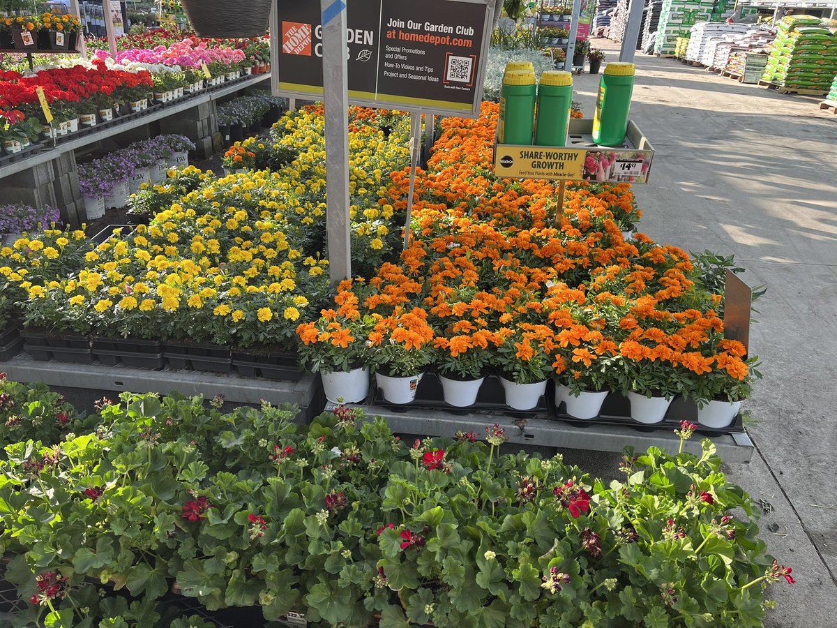 Victor H Norman tweet media