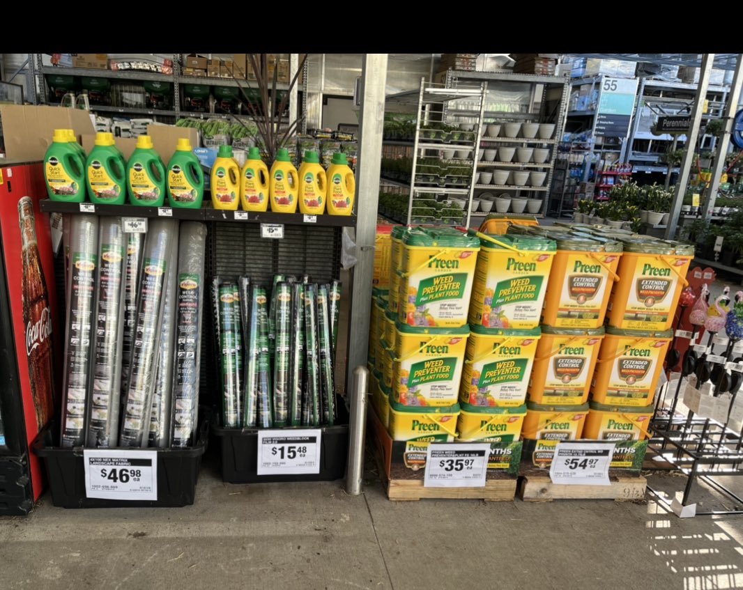 Victor H Norman tweet media