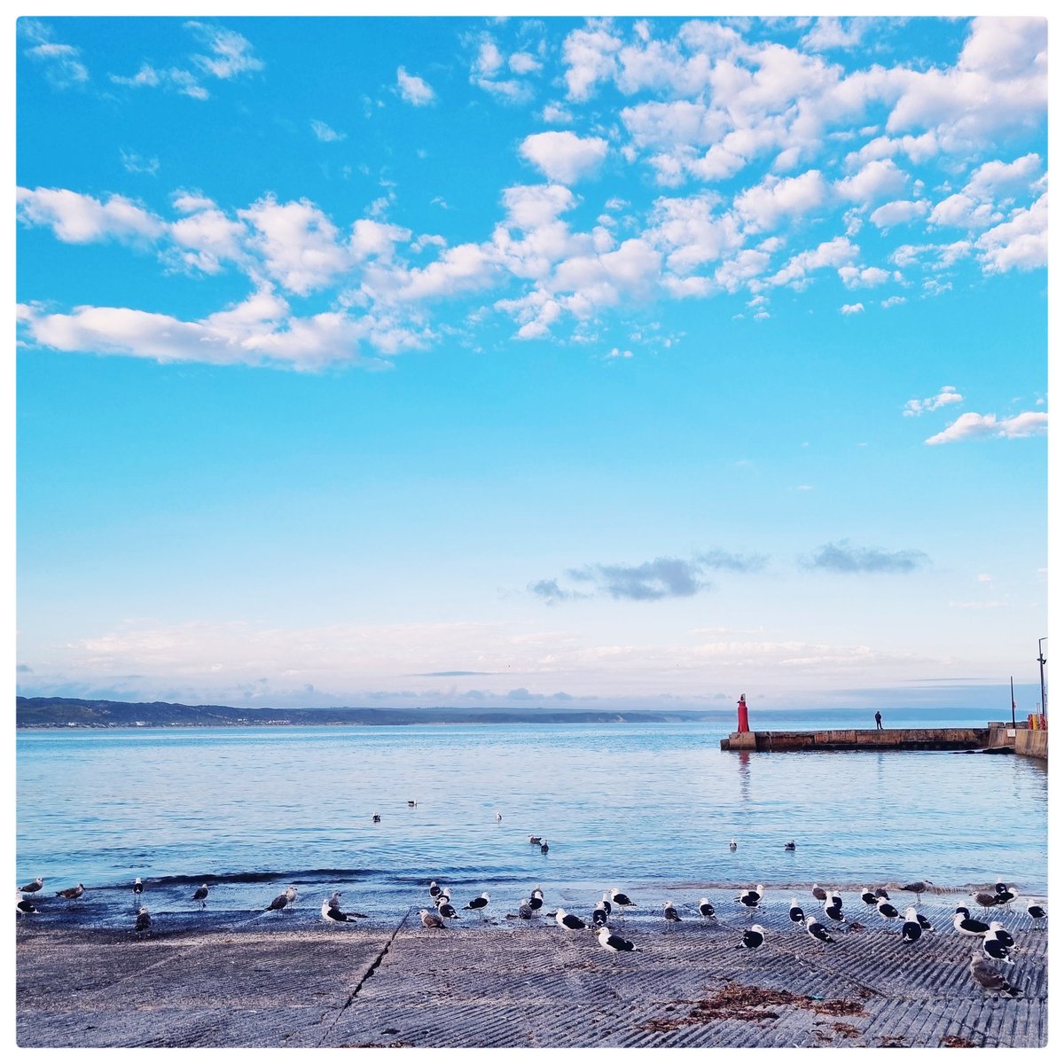 lorelailette's tweet photo. H a p p y 🦀 F r i d a y 

#gardenroutesouthafrica #southafrica #westerncape https://t.co/Fr4nqMgbNf